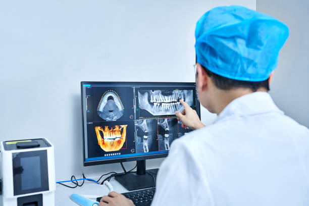 Best Emergency X-Rays and Diagnostics in Dover, NH